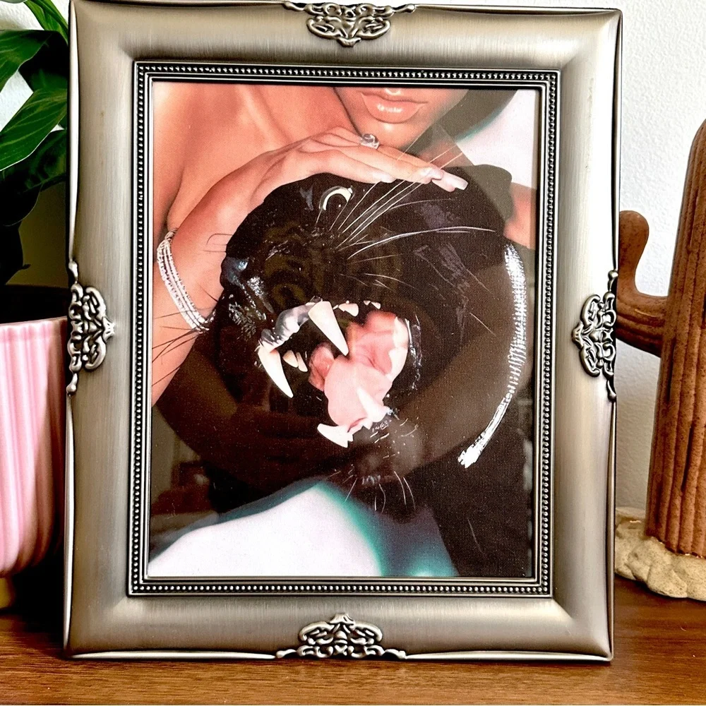 Diamond Jaguar & Sexy Woman Black Panther Canvas Print Silver Framed Wall Art